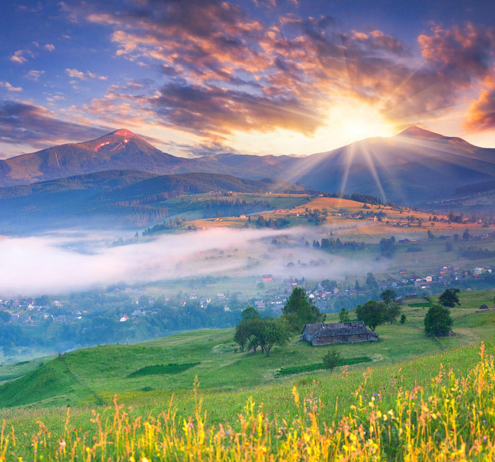 999sf.com,提供专业的服务(999sf.com,打造一流的服务体验)